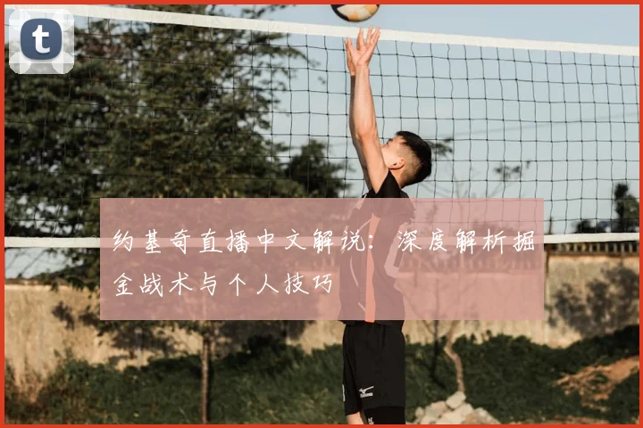 约基奇直播中文解说：深度解析掘金战术与个人技巧