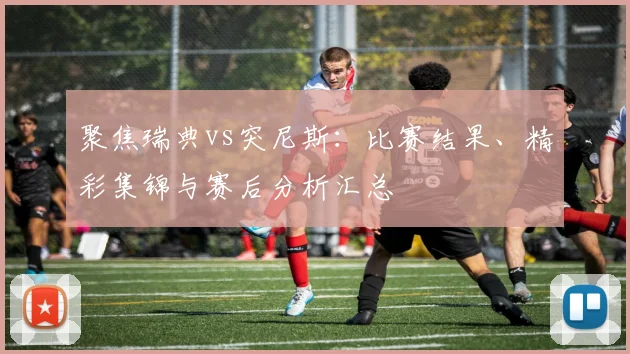 聚焦瑞典vs突尼斯：比赛结果、精彩集锦与赛后分析汇总